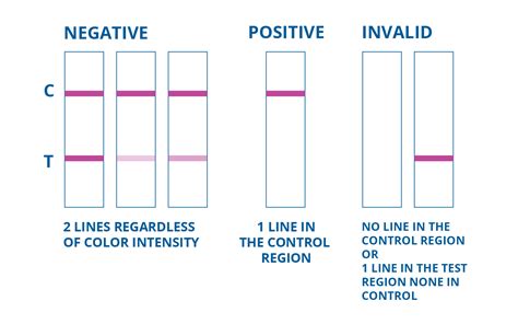 urine drug test and soap drops and cocaine results|guidelines for urine drug testing.